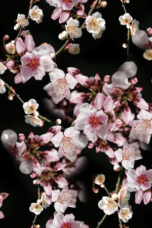 服装印花华亿平台图片