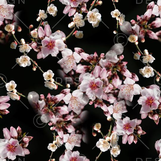 服装印花华亿平台图片