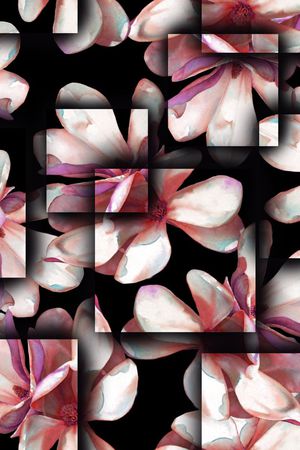 纯黑底印花华亿平台图片