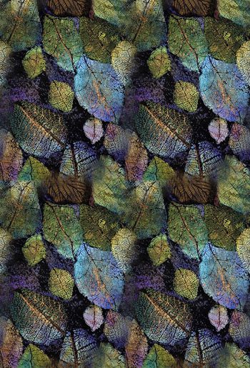 419204-闪亮叶叶1