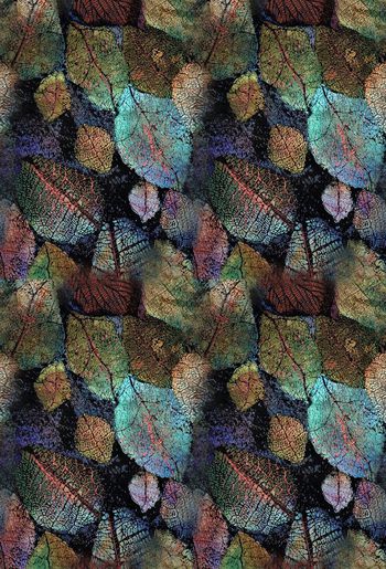 419205-闪亮叶叶1