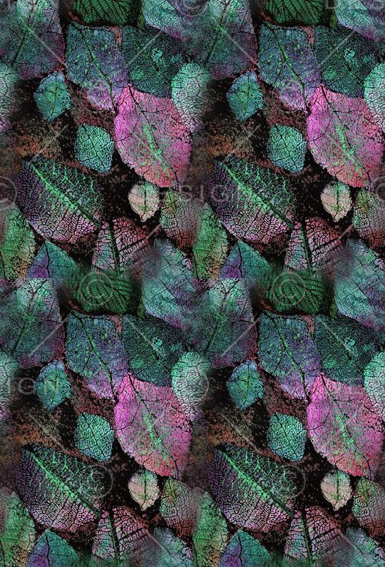 叶子印花华亿平台图片