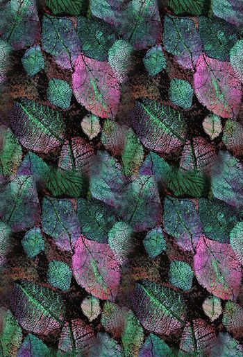 419206-闪亮叶叶1