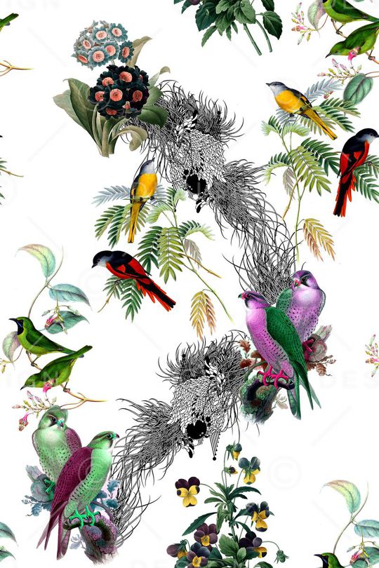 小鸟印花华亿平台图片