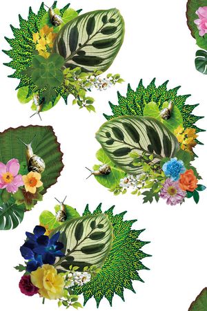 蜗牛印花华亿平台图片