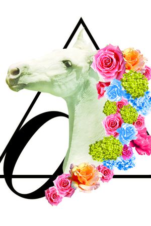 马头花印花华亿平台图片