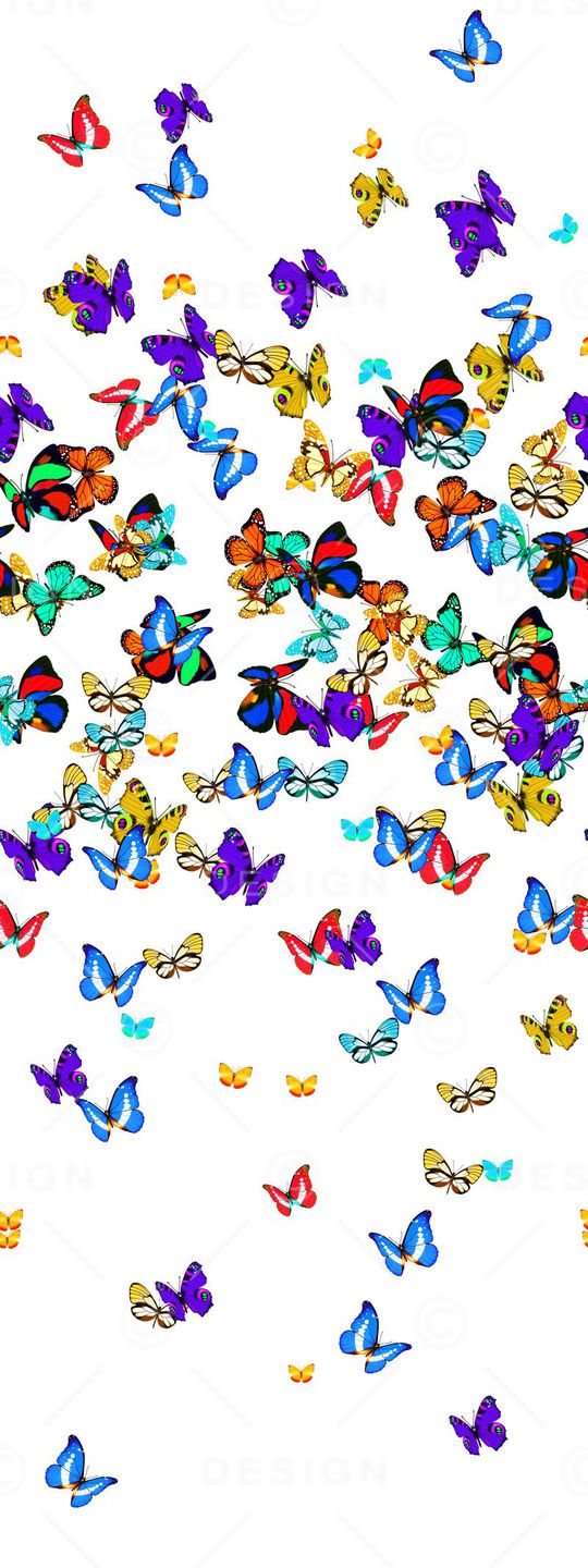 蝴蝶印花华亿平台图片