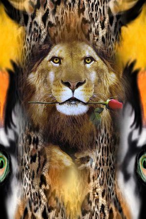 豹纹印花华亿平台图片