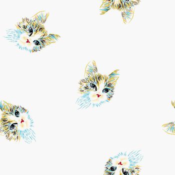 419794-贵族气质波斯猫