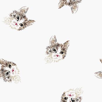 419795-贵族气质波斯猫