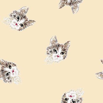 419796-贵族气质波斯猫