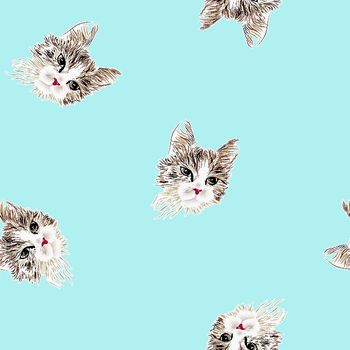 419797-贵族气质波斯猫