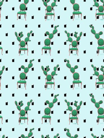 419833-不一样的仙人掌，不一样的椅子