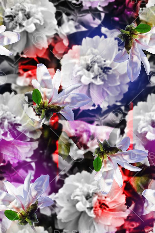 绚丽、女装、抽象、花卉印花华亿平台图片