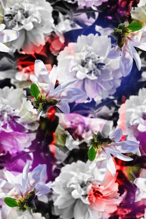 绚丽、女装、抽象、花卉印花华亿平台图片