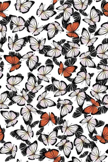 420012-简单清爽蝴蝶图案