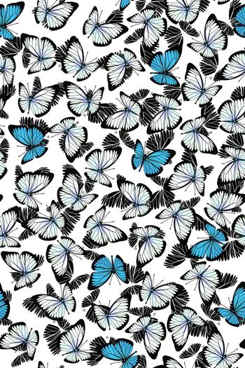 420013-简单清爽蝴蝶图案