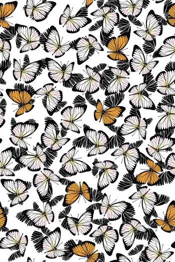 420014-简单清爽蝴蝶图案