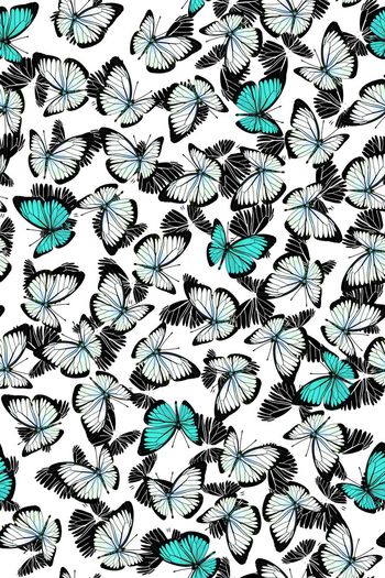 420016-简单清爽蝴蝶图案