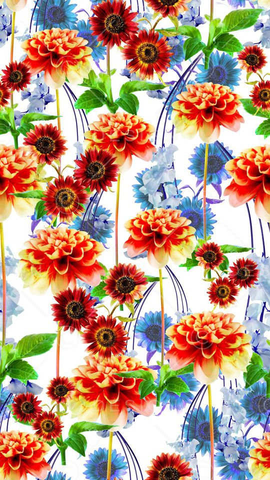 白底印花华亿平台图片