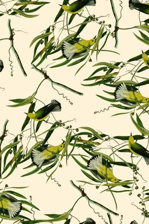 花印花华亿平台图片