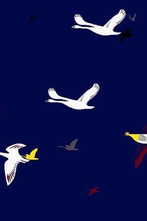 动物印花华亿平台图片