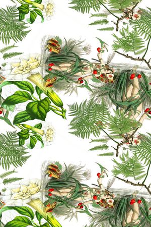 热带雨林印花华亿平台图片