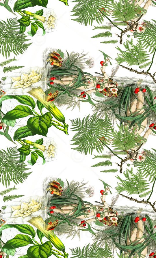 热带雨林印花华亿平台图片