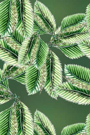 自然印花华亿平台图片