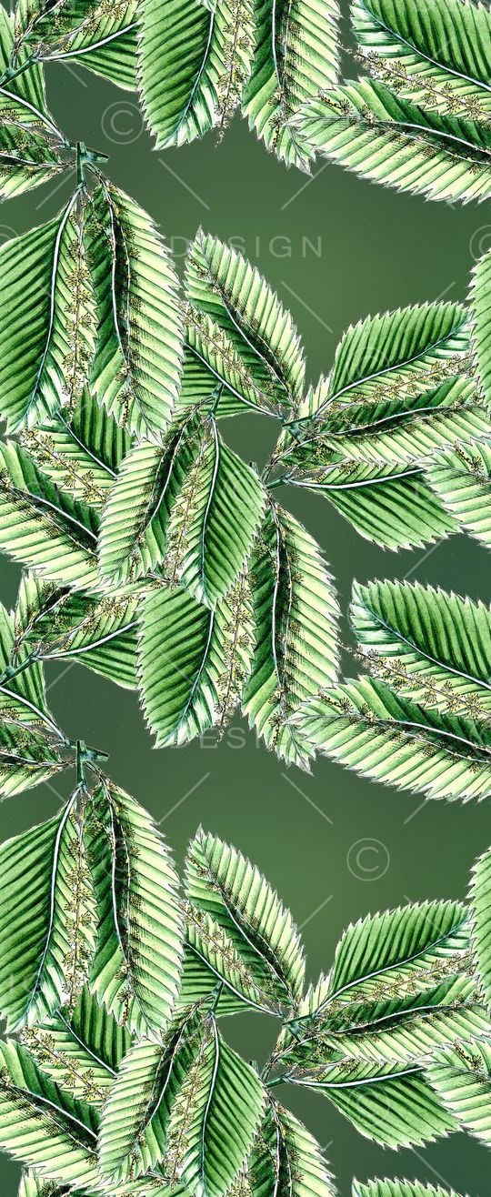 自然印花华亿平台图片