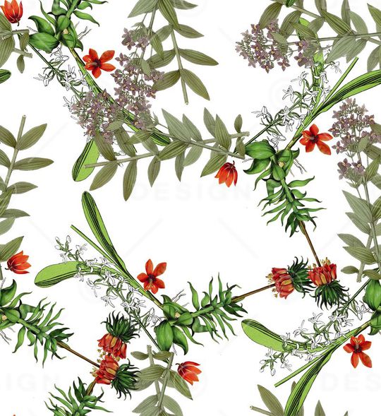 复古印花华亿平台图片