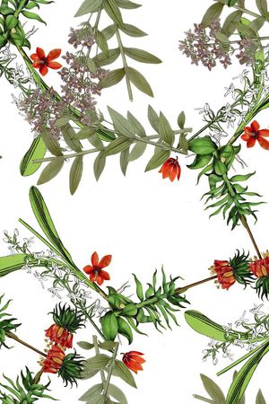 复古印花华亿平台图片