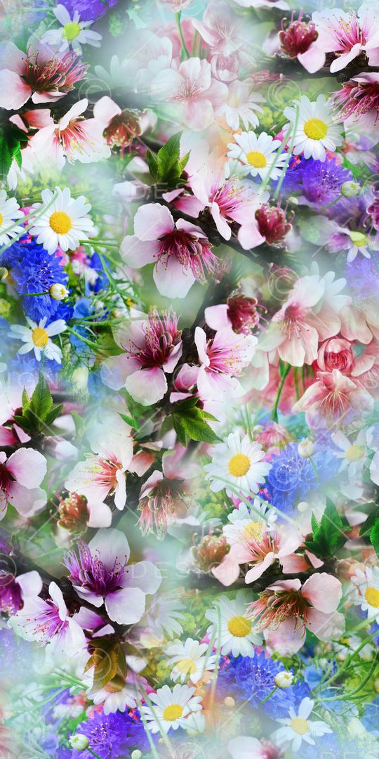 小清新印花华亿平台图片