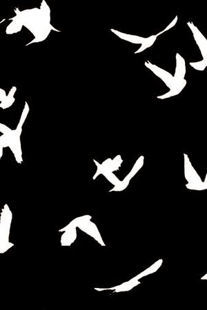 白飞鸟印花华亿平台图片