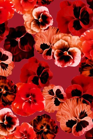 2015秋冬印花华亿平台图片