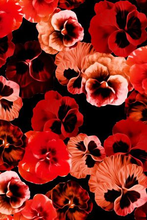 2015秋冬印花华亿平台图片