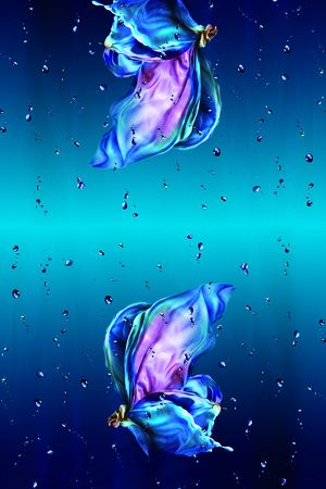 时尚雨蝶抽象印花华亿平台图片