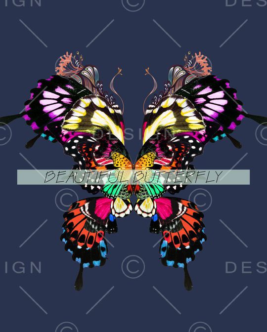 蝴蝶印花华亿平台图片