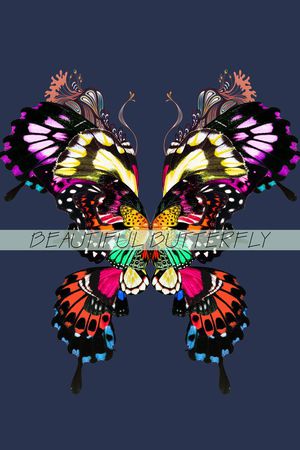 蝴蝶印花华亿平台图片