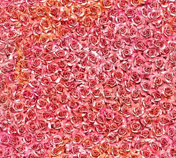 420900-满版小碎花玫瑰