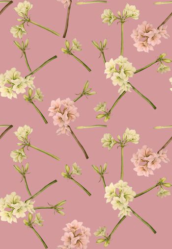 421202- 时尚春夏简约手绘兰花数码印花 