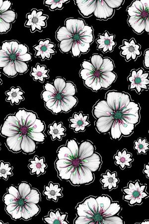 黑白印花华亿平台图片