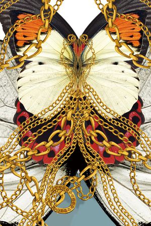 定位蝴蝶印花华亿平台图片