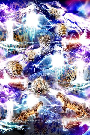 时尚印花华亿平台图片