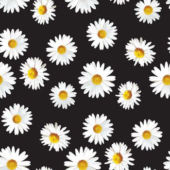 421646-时尚简约手绘野菊花数码印花