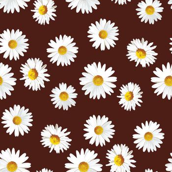 421647-时尚简约手绘野菊花数码印花