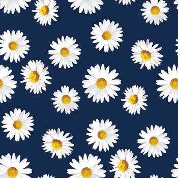 421648-时尚简约手绘野菊花数码印花