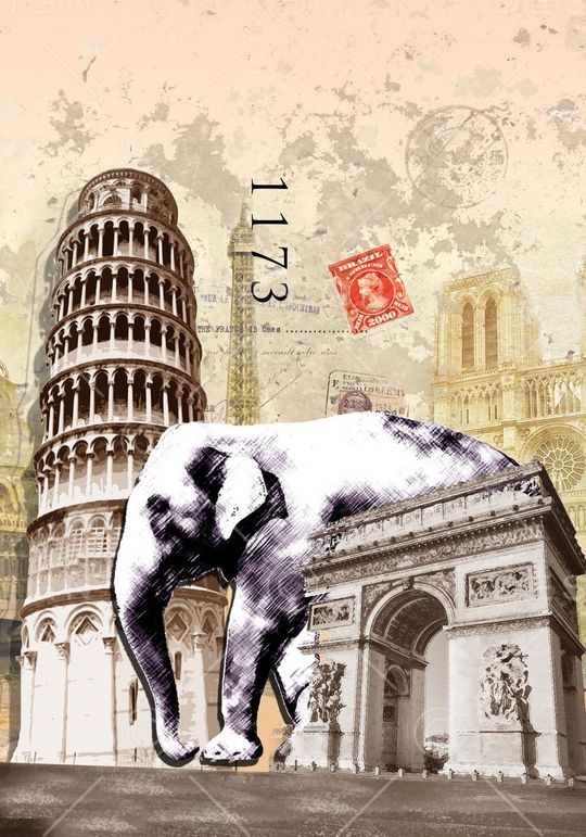 比萨尔塔印花华亿平台图片