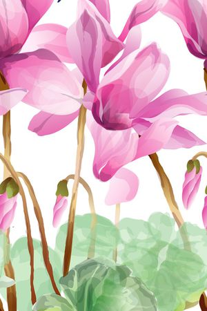 时尚休闲印花华亿平台图片