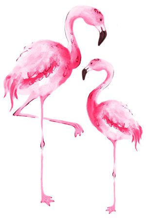 清新印花华亿平台图片